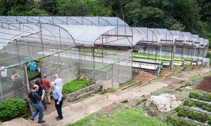 The greenhouses at Nong Hoi’s Royal Project Crops Development Centre.