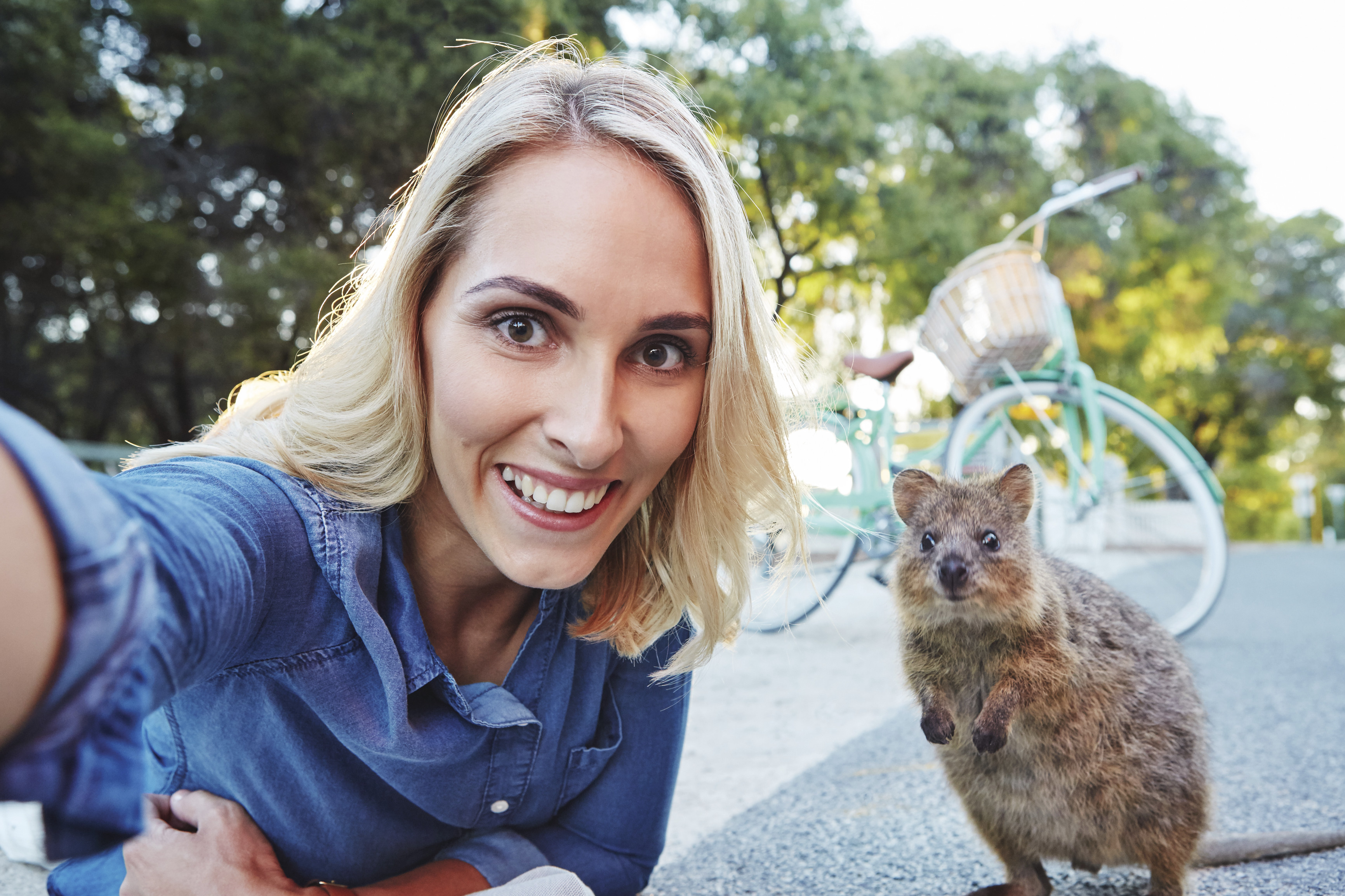 Lady taking selfie with Quokka on Rottnest Island.