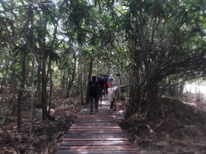 Krabi Emerald Pool 6