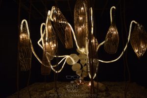 Forbidden Fruits: The Most Instagram-worthy Spot Of Rainforest Fringe