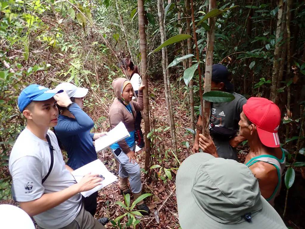 Telin Kaloni: A Woman Leader Protecting Nature and Heritage in Sri Aman