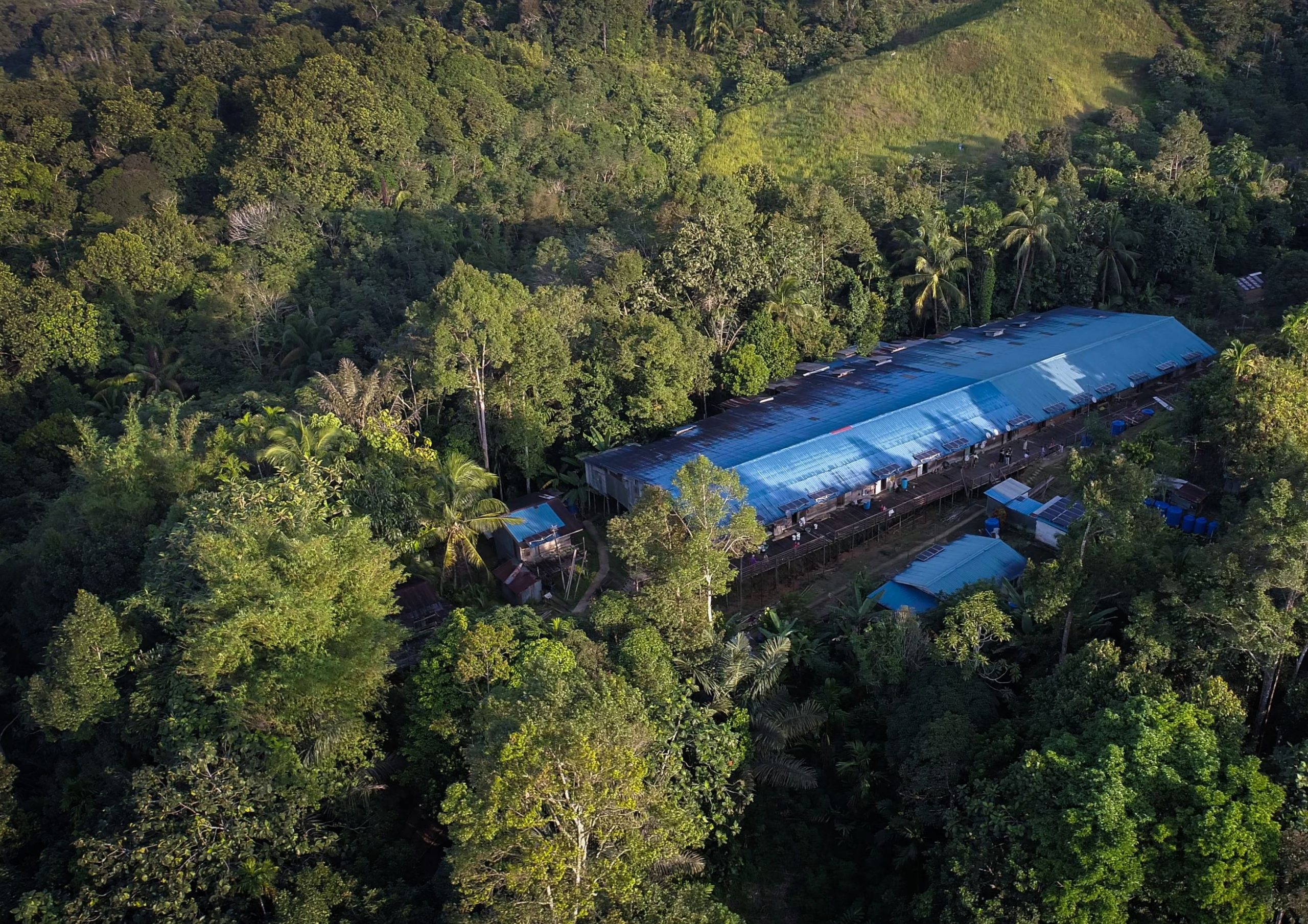 Sarawak’s Ulu Sungai Menyang records 167 orangutans, highlighting need for green infrastructure